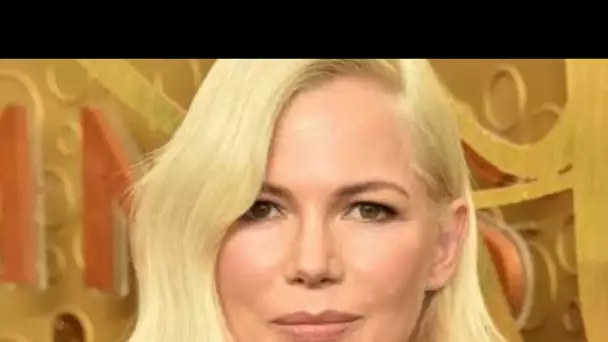 Venom (TF1) : que devient l'actrice Michelle Williams découverte notamment dans...