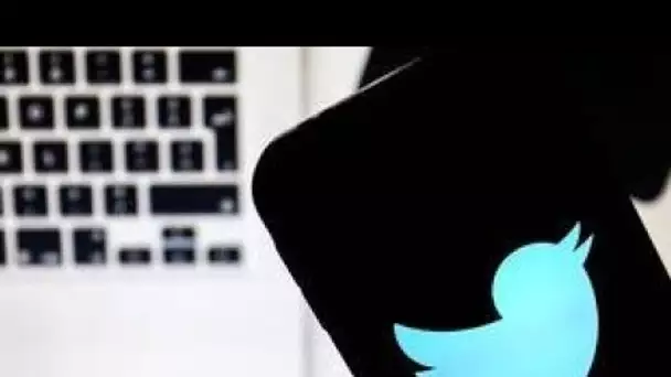 Twitter dévoile les sujets les plus commentés et les tweets les plus relayés en 2020