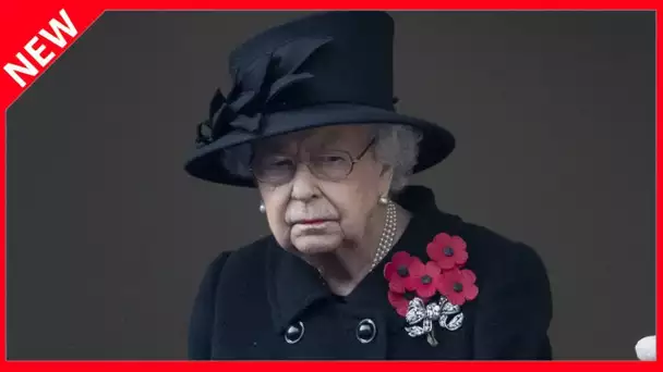 ✅  Vaccin anti-Covid-19 : Elizabeth II, 94 ans, n'aura pas de traitement de faveur