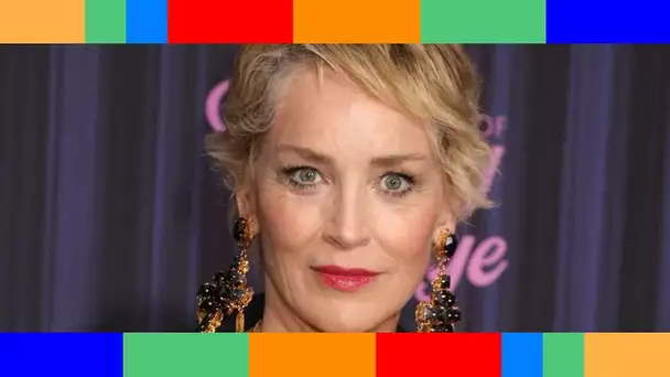 ✟  Sharon Stone : la mort tragique de son neveu de 11 mois a permis de sauver trois vies