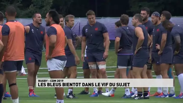 Les Bleus dans le vif du sujet