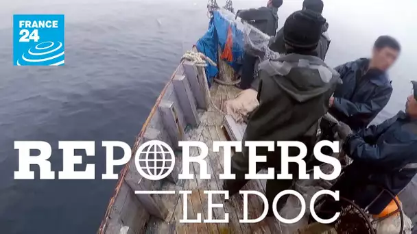 REPORTERS - Nord-coréens : la dernière pêche