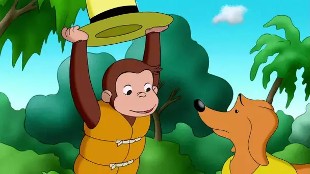 Georges le Petit Singe 🐵Les Naufragés 🐵Saison 3 🐵Dessin Animé 🐵Animation Pour Enfants