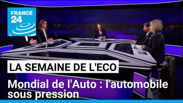 Mondial de l'Auto : l'automobile sous pression • FRANCE 24