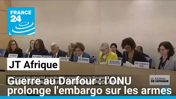 Guerre au Darfour : l'ONU prolonge l'embargo sur les armes • FRANCE 24