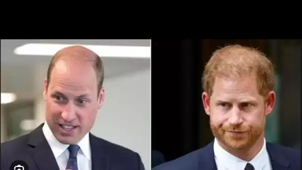 Le roi Charles n'a « jamais fermé la porte » au prince Harry alors qu'il espère la réconciliation