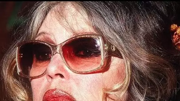 Brigitte Bardot plantée à coups de fourchettes : ce récit d'une attaque contre...