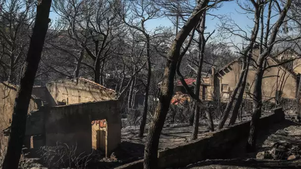 Grèce : la lutte continue pour maîtriser l'incendie qui se rapproche d'Athènes