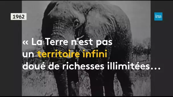 1962, l’Homme responsable de la catastrophe écologique | Franceinfo INA