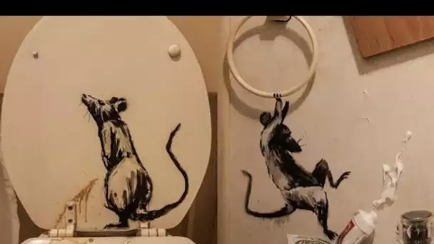 Des rats dans les toilettes de Banksy: confiné, l'artiste dévoile une œuvre...