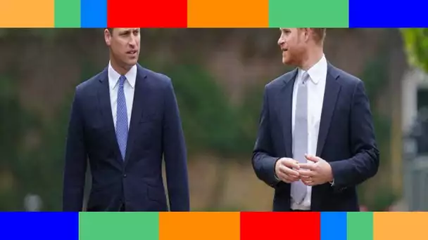 « Les choses ne vont pas bien »  entre Harry et William, ça ne s'arrange pas…