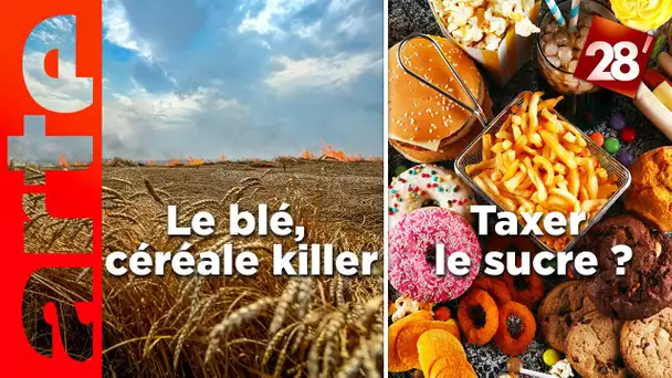 Le blé, céréale killer / Faut-il taxer les produits trop sucrés ? | 28 minutes | ARTE