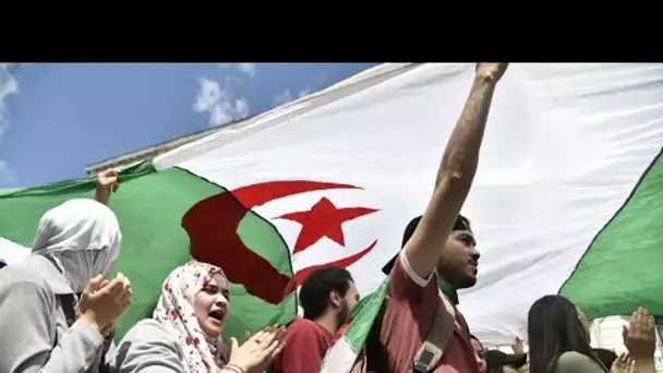 Crise en Algérie : l’instance de dialogue au bord de la faillite