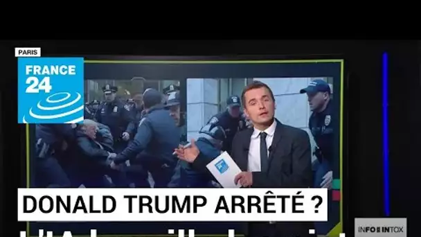 Les images de Donald Trump arrêté ? L'intelligence artificielle s'en donne à cœur joie • FRANCE 24