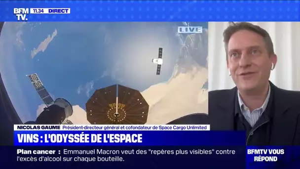 L'avenir de la vigne passe-t-il par l'espace ? BFMTV répond à vos questions