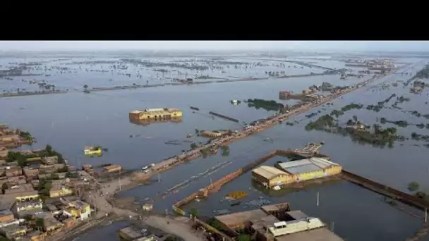 Inondations au Pakistan : plus de 1130 personnes sont mortes depuis le mois de juin