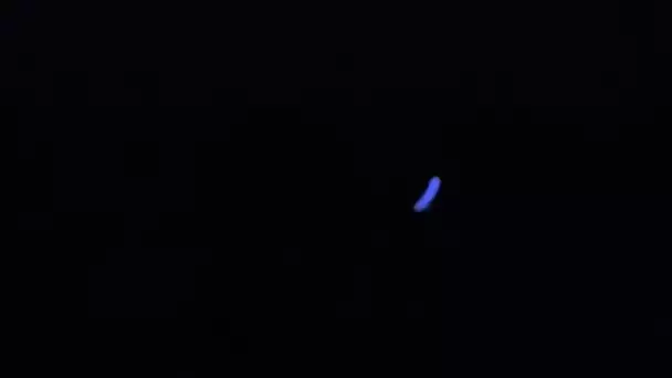 OVNI : Un mystérieux objet bleu observé dans le ciel d'Hawaï