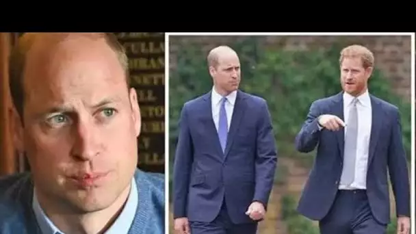 William "s'apprête à suivre" les traces de Harry alors que Duke "veut sortir de la bulle royale"