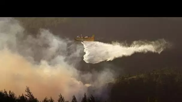 Les pays de la zone Méditerranée en lutte contre des incendies meurtriers