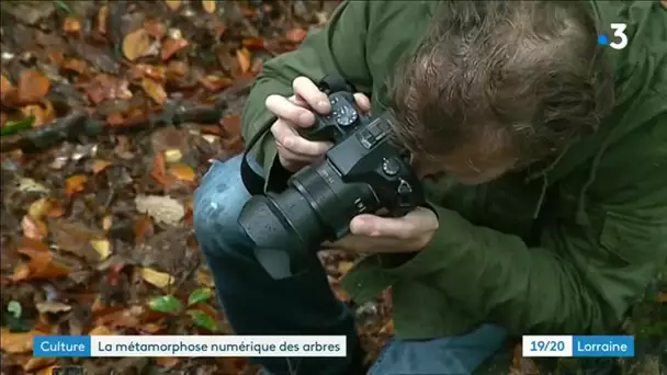 Samuel Mussolin : graphisme et sculpture numérique