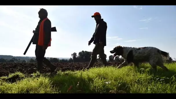 Pourquoi le nombre de permis de chasse explose en France