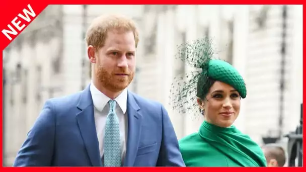 ✅  Meghan Markle et Harry : ces personnes qu'ils ont mis au chômage malgré eux