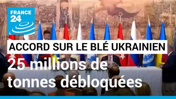 Accord sur les céréales ukrainiennes : 25 millions de tonnes de blé devraient être débloquées