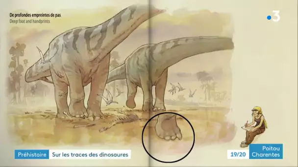 Angoulême : la patte de dinosaure géant trouvée à Angeac-Charente va être montrée au public