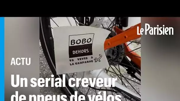 « Bobo dehors, va vivre à la campagne » À Marseille, insultes et pneus de vélo crevés