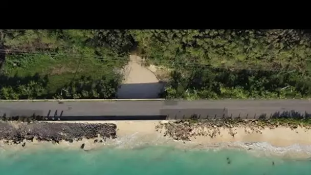 Antigua-et-Barbuda : l'extraction de sable augmente l'érosion et menace les plages • FRANCE 24