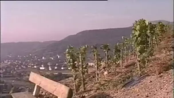 Inauguration du musée des vignes dans le domaine Schlumberger de Guebwiller