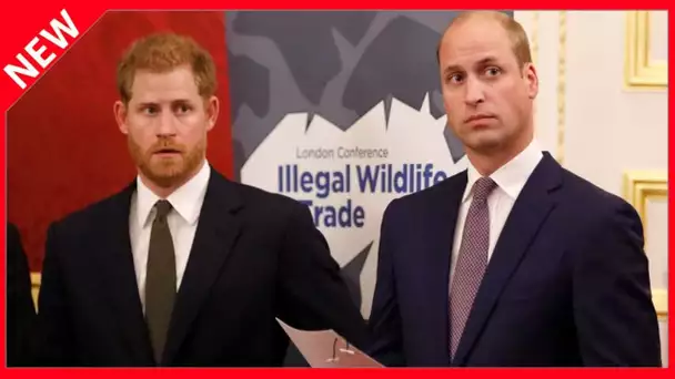 ✅  Harry et William : l’ex-garde du corps de Diana se souvient d’une scène prémonitoire