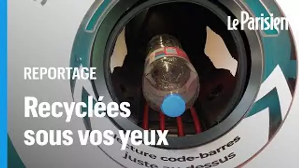 Cette machine recycle vos bouteilles  plastique sous vos yeux dans les supermarchés