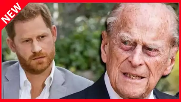 ✅  Arrêtez le prince Harry ! Cette affaire rocambolesque