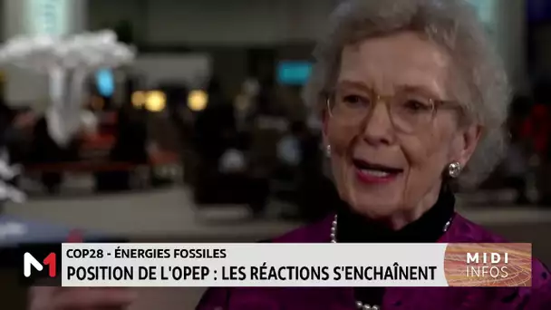 COP28 à Dubaï : les réactions s´enchainent suite à la position de l´OPEP