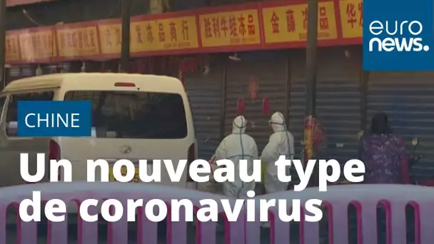 Chine : un nouveau type de coronavirus ravive le douloureux souvenir du SRAS