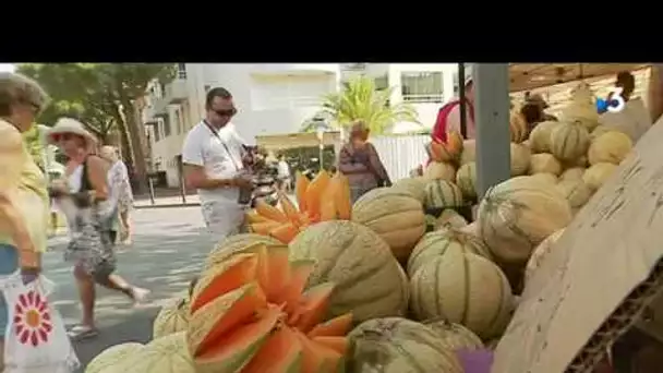 Hausse de la production de melons