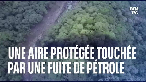 Une immense fuite de pétrole touche 21.000 m² d'une aire protégée en Équateur