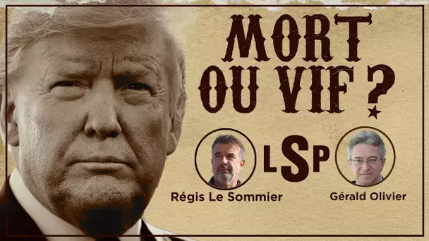 Élections US: Trump - Harris, la guerre des mondes ? G.Olivier & R.Le Sommier ds Le Samedi Politique