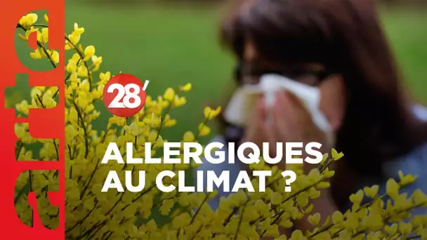 Allergies, épidémies : le changement climatique menace-t-il notre santé ? - 28 Minutes - ARTE