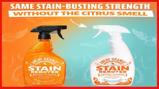 Angry Orange Cat Urine Odor Eliminator & Pet Stain Remover