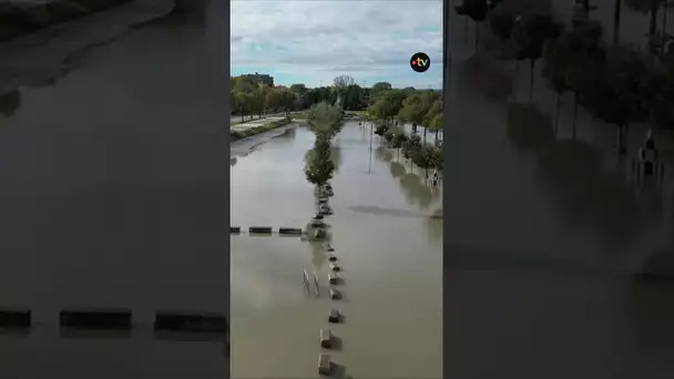 Vigilance Crues inondations dans le Vaucluse : le Rhône a amorcé sa décrue