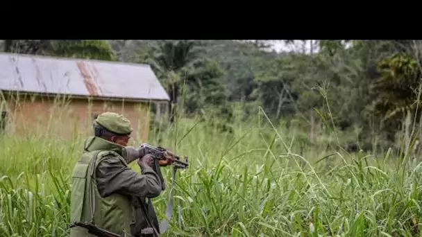 RD Congo : le président proclame "l'état de siège" dans deux provinces touchées par la violence