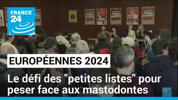 Européennes 2024 : le défi des "petites listes" pour peser face aux mastodontes • FRANCE 24