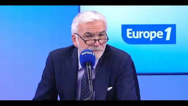 Les chiens sont à l'honneur dans Pascal Praud et vous pour la semaine nationale du chien