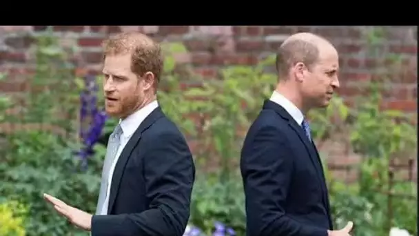 La rupture entre Harry et William n'aurait pu être guérie que par une seule personne, selon un exper