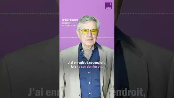 La disparition des oiseaux, une réalité déjà audible 🔊