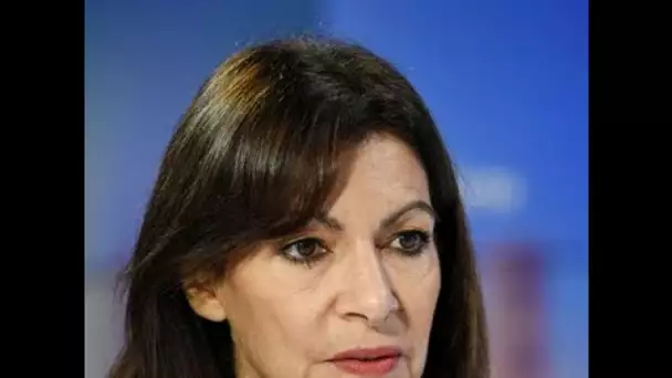 « Anne Hidalgo c'est le mensonge, l'autoritarisme et la gabegie » : la maire de...