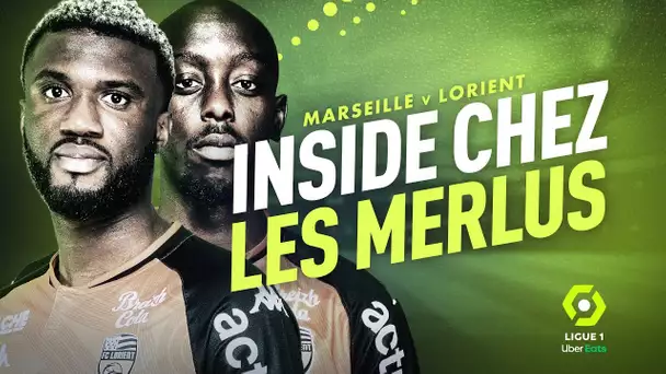 Marseille / Lorient : inside chez les Merlus