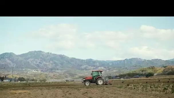 De la tomate au saké, le renouveau des produits agricoles de Fukushima